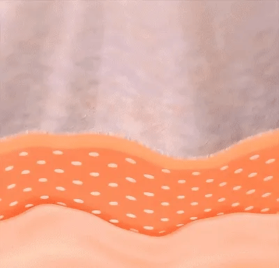 Micro-Molecular Collagen Anti-Wrinkle Lotion